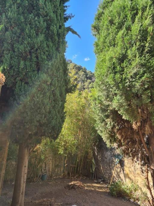 Maison De Caractere Au Coeur De La Provence Hébergement de vacances *